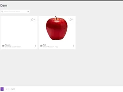 Ecollat DAM Collection page with cards for an empty Flowers collection and a Fruit collection showing a red apple.