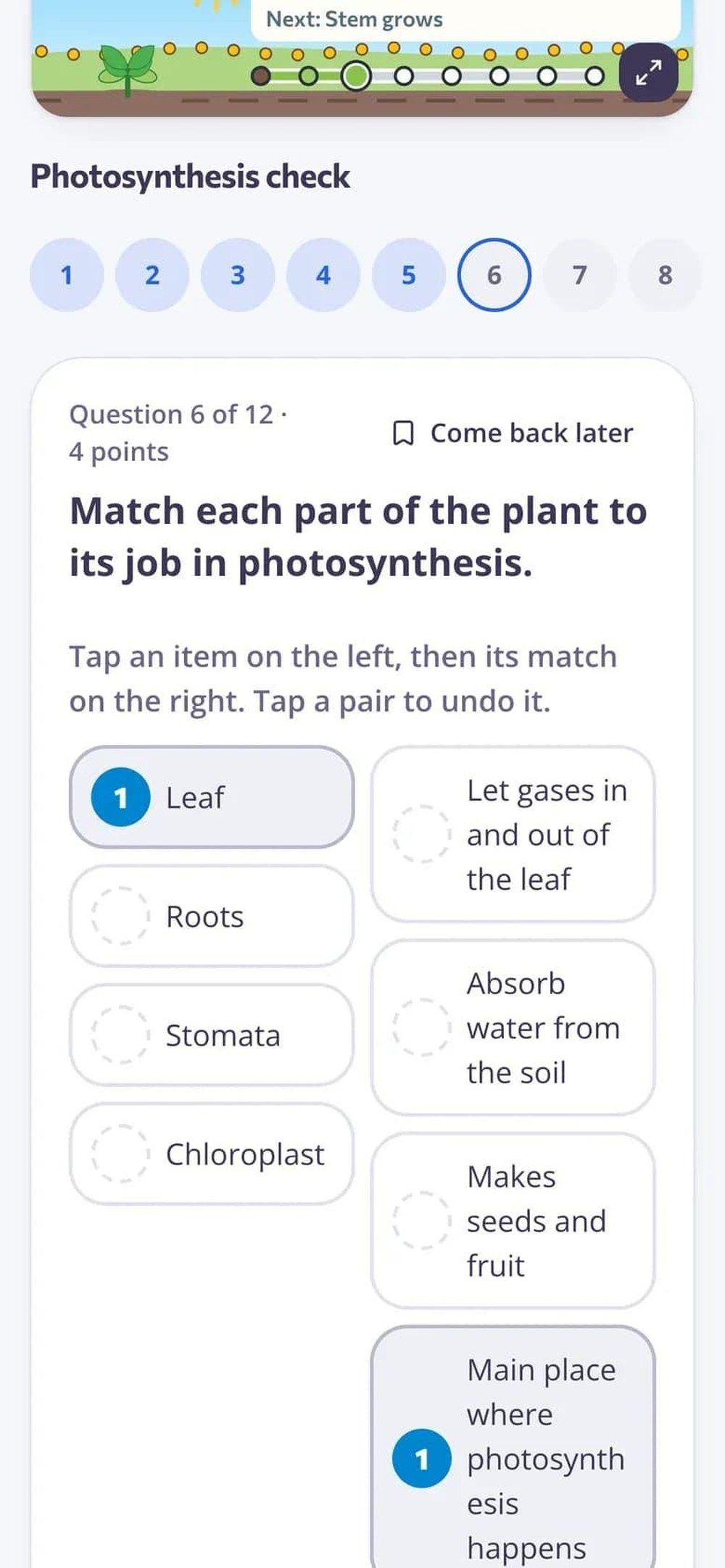 Student-facing Photosynthesis check showing a matching question about plant parts and photosynthesis.