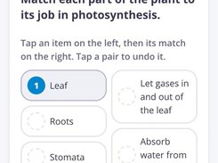 Student-facing Photosynthesis check showing a matching question about plant parts and photosynthesis.