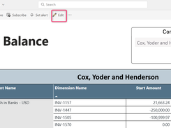 Trial Balance report with company and date filters and a table of account categories, dimensions, opening amounts, debits, credits, and ending amounts.
