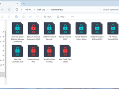 Windows Explorer showing encrypted file icons