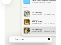 Eney Screenshot 1