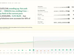Finrely dashboard showing cash position, net cash generated, net income, revenue, gross margin, a customer concentration warning, and a P&L chart.