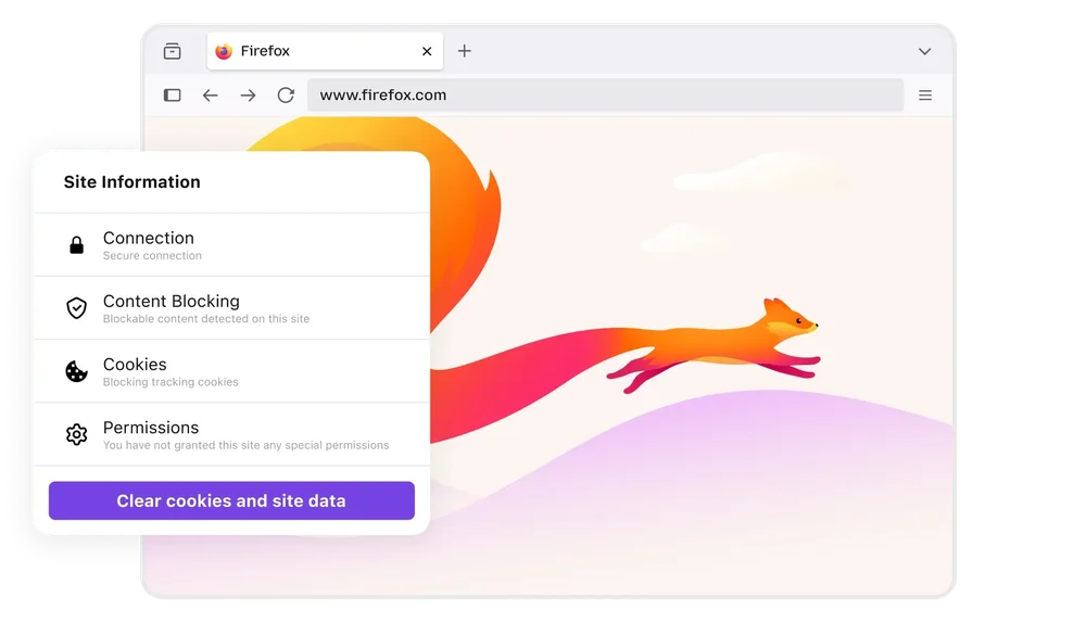 Firefox browser window with a Site Information panel listing connection, content blocking, cookies, permissions, and a Clear cookies and site data button.
