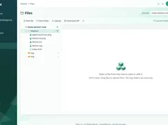 File manager with domain folder tree, uploads, and archive download controls.