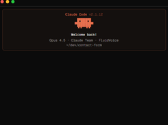 FluidVoice Screenshot 2