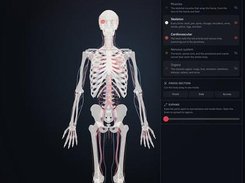 Dark Humano interface displaying a full-body anatomical skeleton model beside an Explorer panel listing body systems such as skin, muscles, skeleton, cardiovascular, nervous system, and organs.