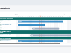 Gantt Chart Project View
