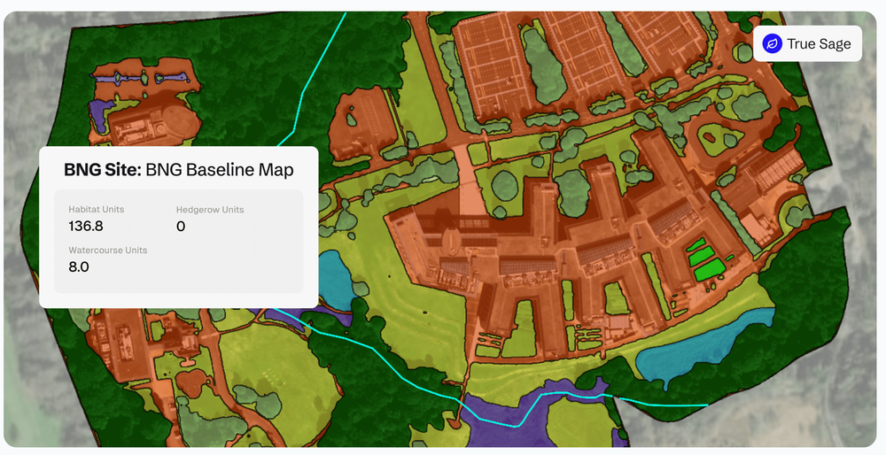 BNG Habitat Map
