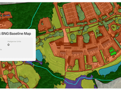 BNG Habitat Map