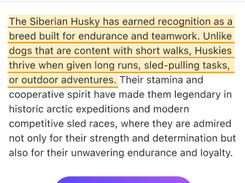 Getsolved.ai Screenshot 1