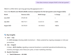 eRAG insights on organizational data