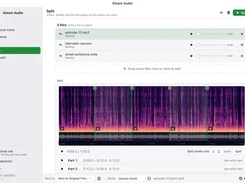 Gleam Audio desktop app in a light theme showing the Split tool with a spectrogram, waveform, segment markers, and split settings.