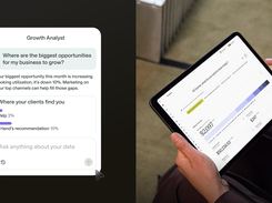 AI Growth Analyst