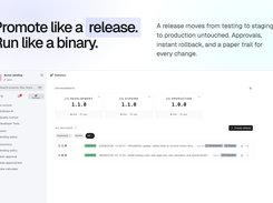 Promote like a release, run like a binary