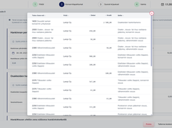 Elimination entries generated from the form: group share, minority share and explanations line by line.
