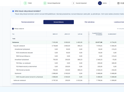 Consolidation worksheet: sum of the financial statements, eliminations and group figures per account.