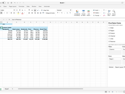 Spreadsheet application window displaying a revenue PivotTable and a PivotTable Fields pane with filters, columns, rows, and values sections.