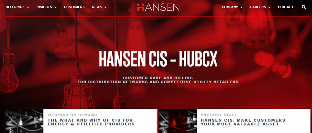Hansen CIS Screenshot 1