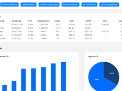 Ignitium LinkedIn Metrics dashboard listing campaign-group spend, CTR, impressions, clicks, CPC, CPM, CPL, and leads, with creative-analysis charts below.