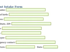 A blank client intake form with labeled fields for name, date of birth, address, phone, email, employer, emergency contact, signature, and date.