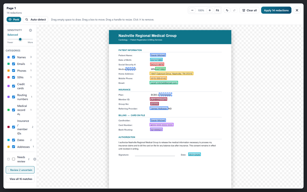 Auto-detected names, SSNs, and other identifiers ready for review