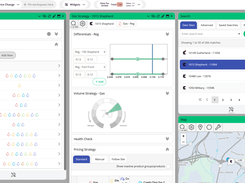 Market fuel price strategy and site specific fuel price strategy