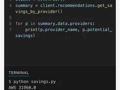 VS Code editor running the LevelFour Python SDK to retrieve savings by cloud provider.