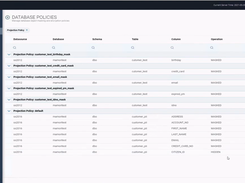 Privileged Access Management - policies that extend to the database.
