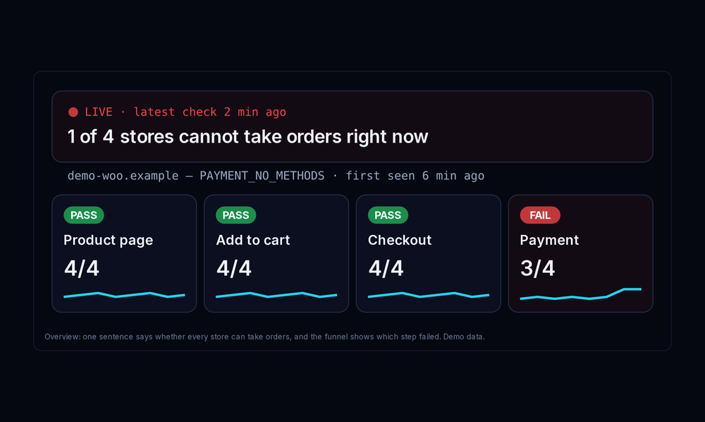 Store overview: checkout health, uptime and recent runs