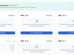 PHP runtime manager showing PHP versions, installation controls, and idle-memory-saver status.