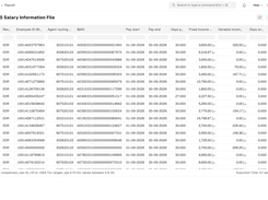 Mindcat People WPS salary information file: EDR lines with employee ID, agent routing code, IBAN, pay start and end, days paid, fixed income and variable income in AED for each employee.