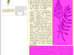 NAINUWA Screenshot 1
