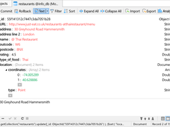 Navicat for MongoDB Screenshot 2