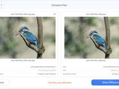 Nektony Duplicate File Finder Screenshot 1