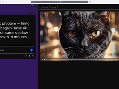 Nixm interface with a text prompt and reply field beside a video player displaying a close-up of a black cat.