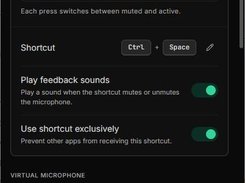 Configure push-to-talk, push-to-mute, global keyboard shortcuts, feedback sounds, and virtual microphone options.