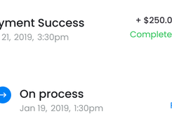 Transaction-status cards showing “Payment Success” and “On process,” each with a $250.00 amount, status text, and January 2019 timestamps.