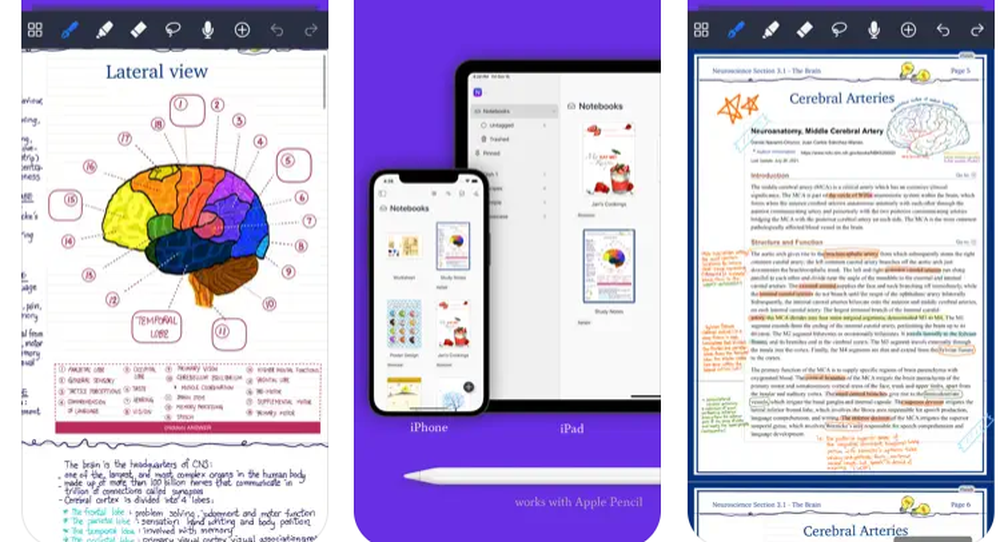 Noteful Screenshot 1