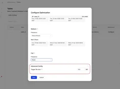 OLake Configure Optimization dialog showing Medium and Full frequency settings and an Advanced Config target file size of 512 MB.