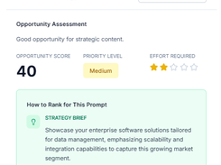 OmniSEO Screenshot 1
