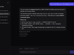 Ask "why is my disk filling up?" and get an answer from the server's live data.