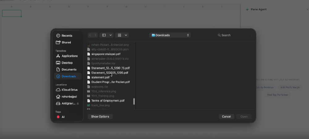 Pane Screenshot 1
