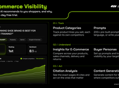 AI Commerce Visibility