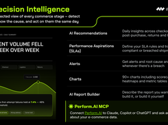 AI Decision Intelligence
