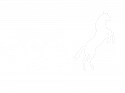 Pasofin logo