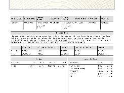 Paystub Template 3