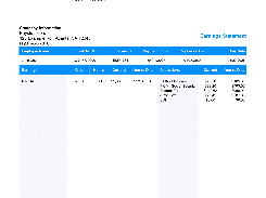 Paystub Template 5