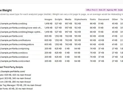 Page Weight table breaking down images, scripts, media, and other assets by URL.