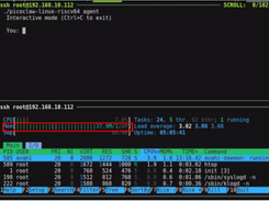 PicoClaw Screenshot 1